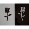 Fused Glass Art Image - Mirrored Rose Buds
